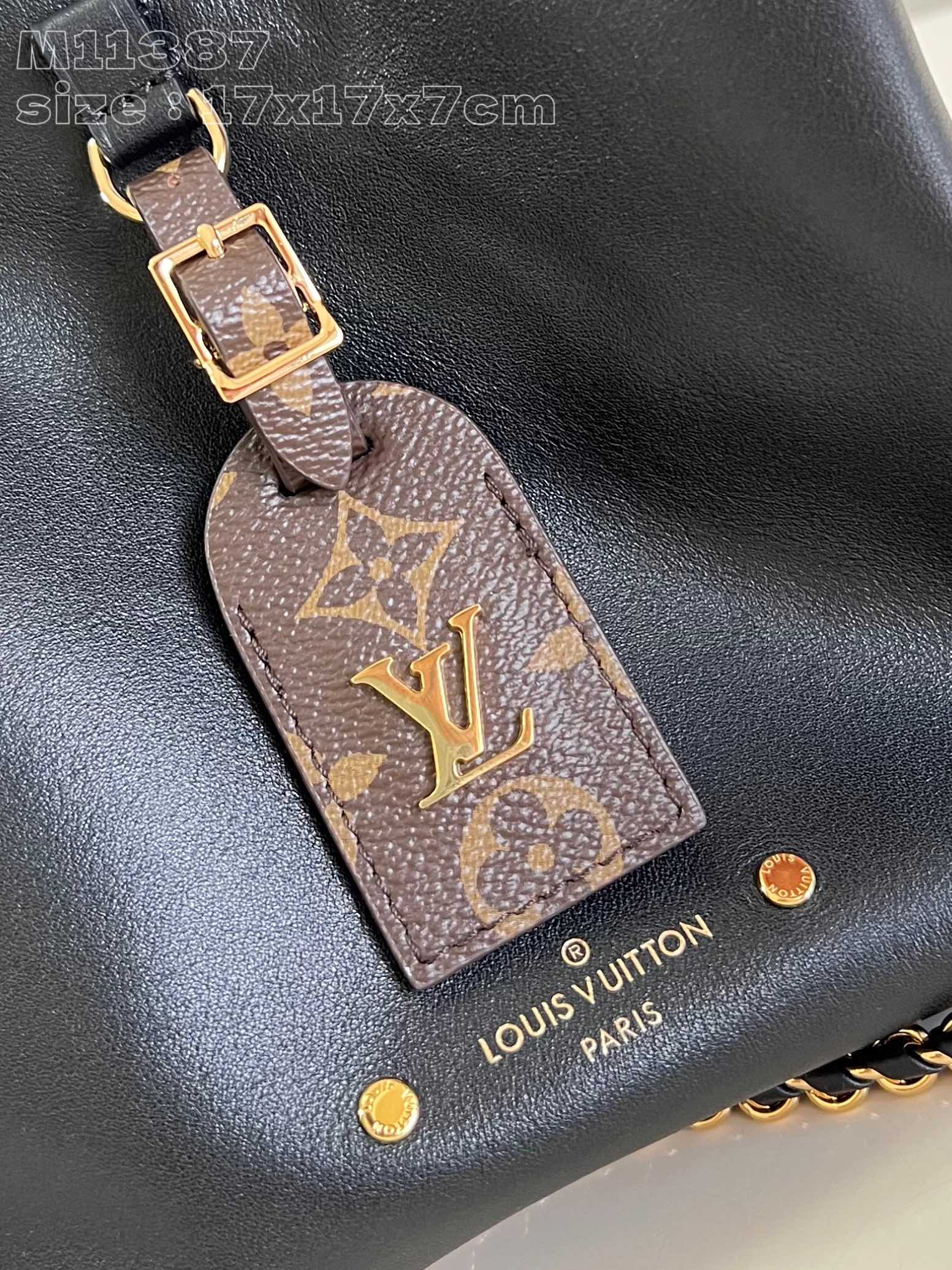 Louis Vuitton Shopping Bags